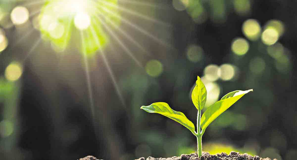 A peep into ecology and environment