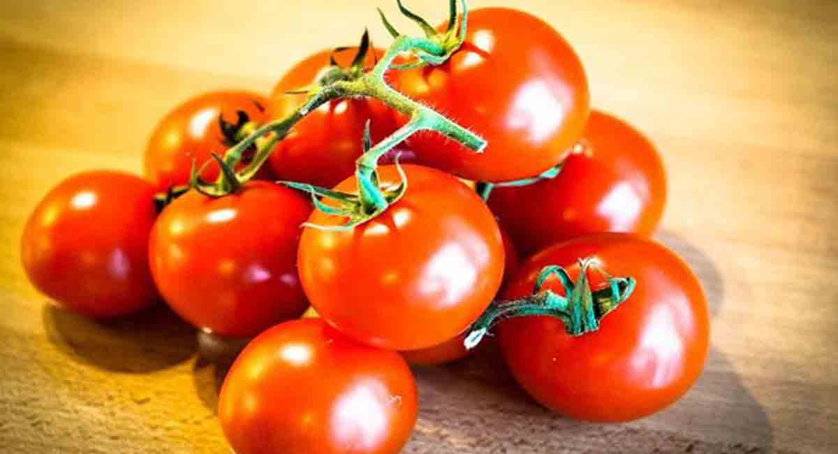 Tomato turns costly on tight supply in Hyderabad