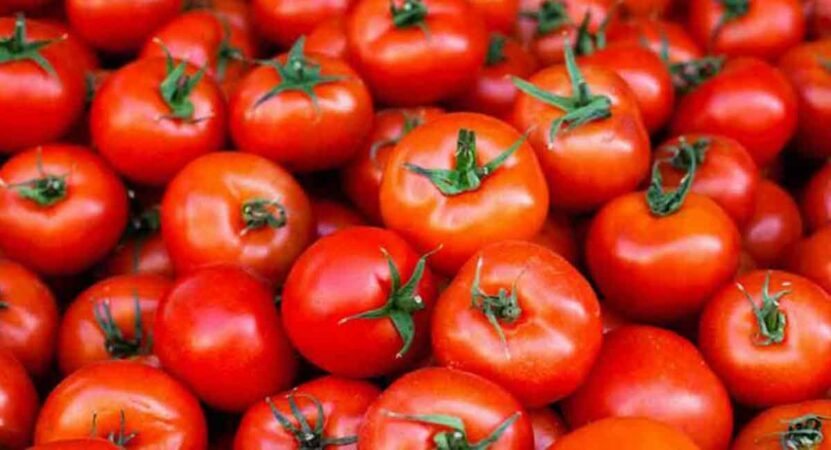 Tomato prices shooting through the roof in Bengaluru