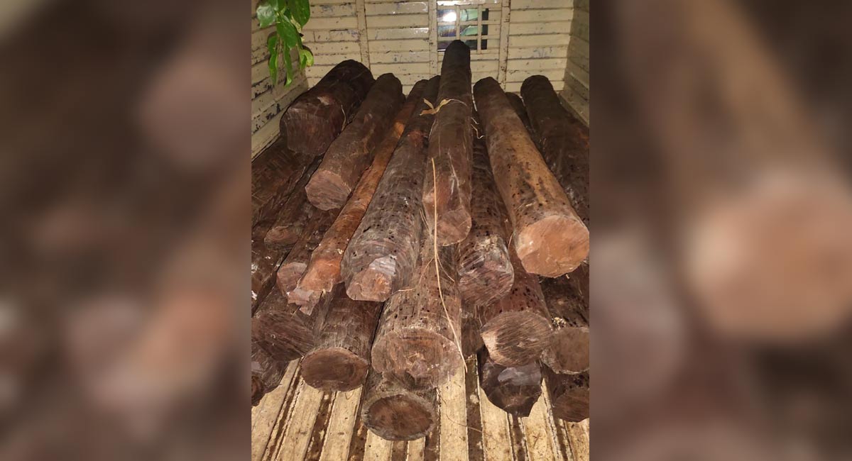 ‘Pushpa’ model fails: Red sanders smuggling racket busted in Rachakonda