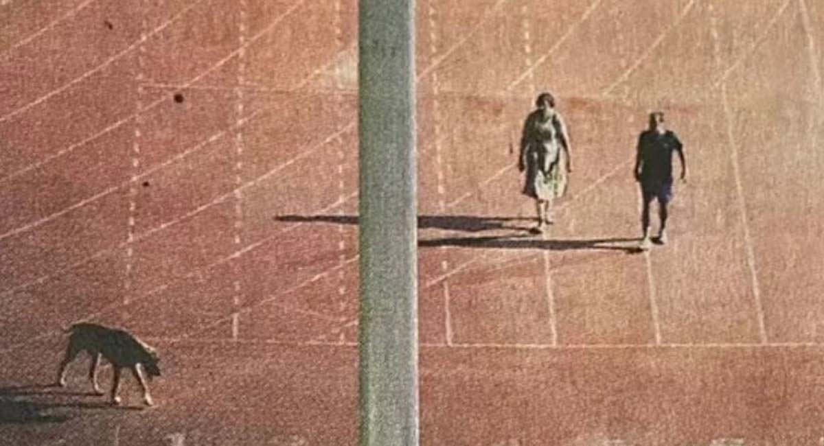 ‘What about dog?’ Twitter asks after IAS couple transferred to Ladakh, Arunachal