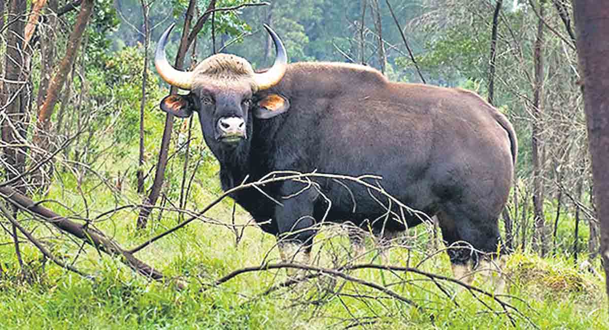 A sneak-peek into Telangana’s geography