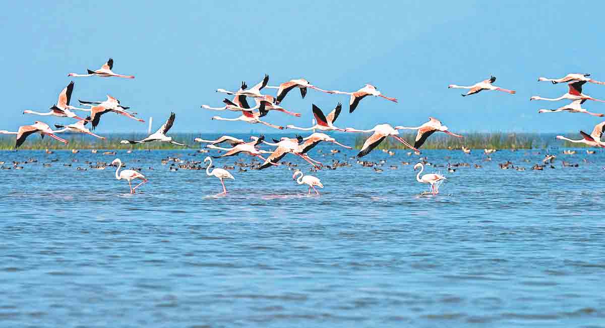 Track recent happenings around the world