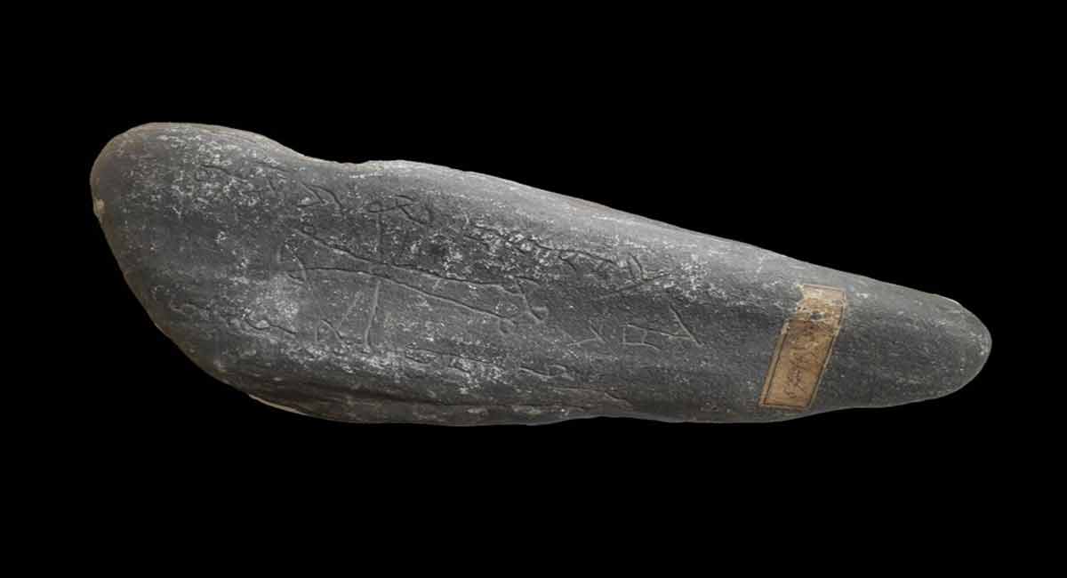 Origins of mid-14th century pandemic Black Death identified