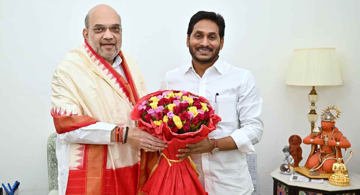 Andhra Pradesh CM meets Amit Shah, discusses state issues