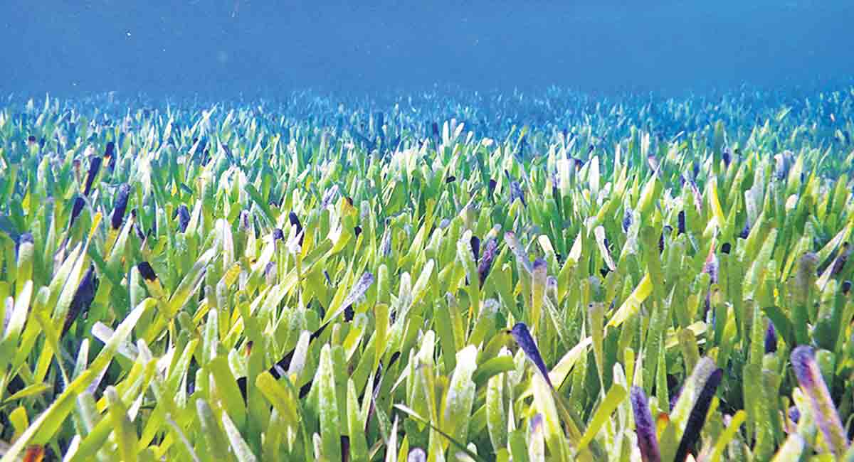 Keep abreast of interesting developments