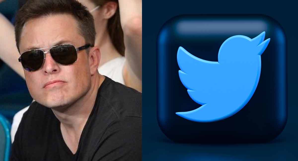 Twitter employees sceptical about their future under Musk