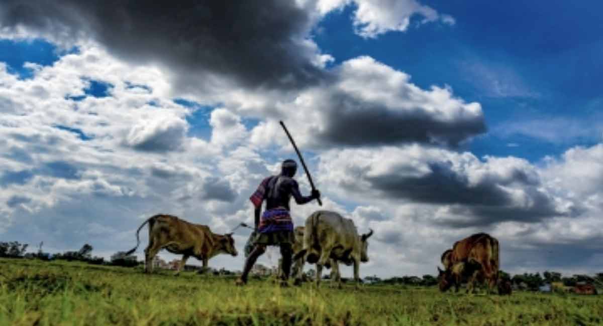 Special drive in UP to provide crop insurance to farmers