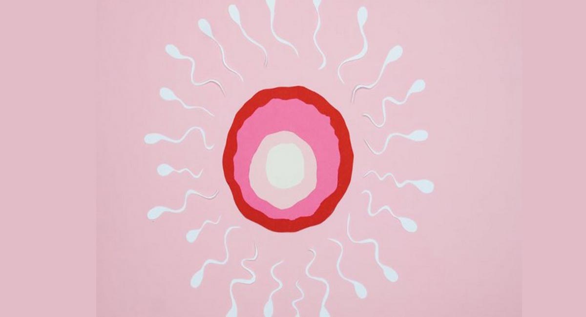 Infertility or pregnancy loss can increase risk of stroke in women: Research