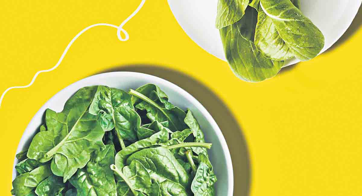 Foods to help you enrich memory