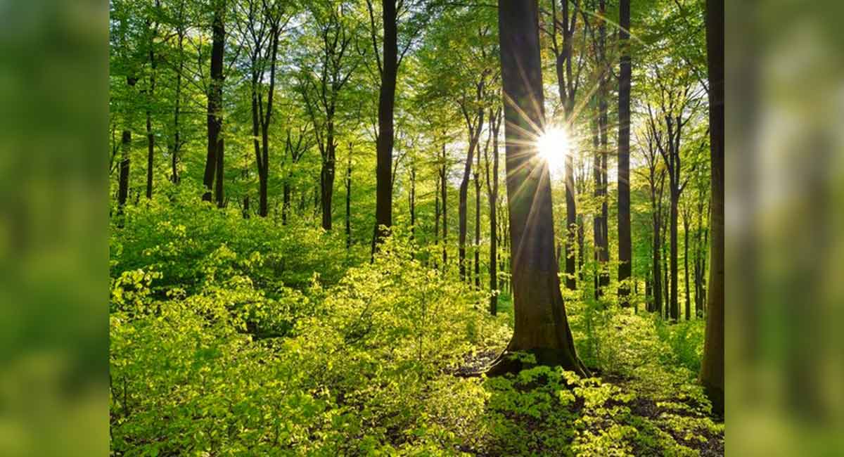 Not everyone wants to become a ‘billionaire’, good news for planet: Study