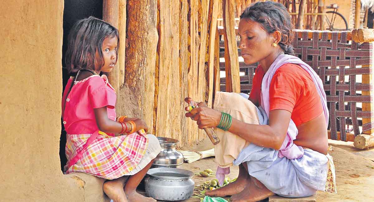 Opinion: Time to rehabilitate Gutti Koyas