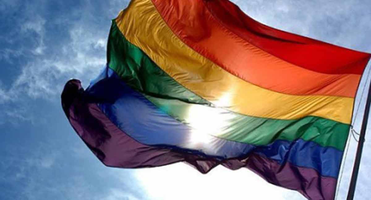 Pride Month: Confused why people use she/her, other pronouns in bios? Here’s why 