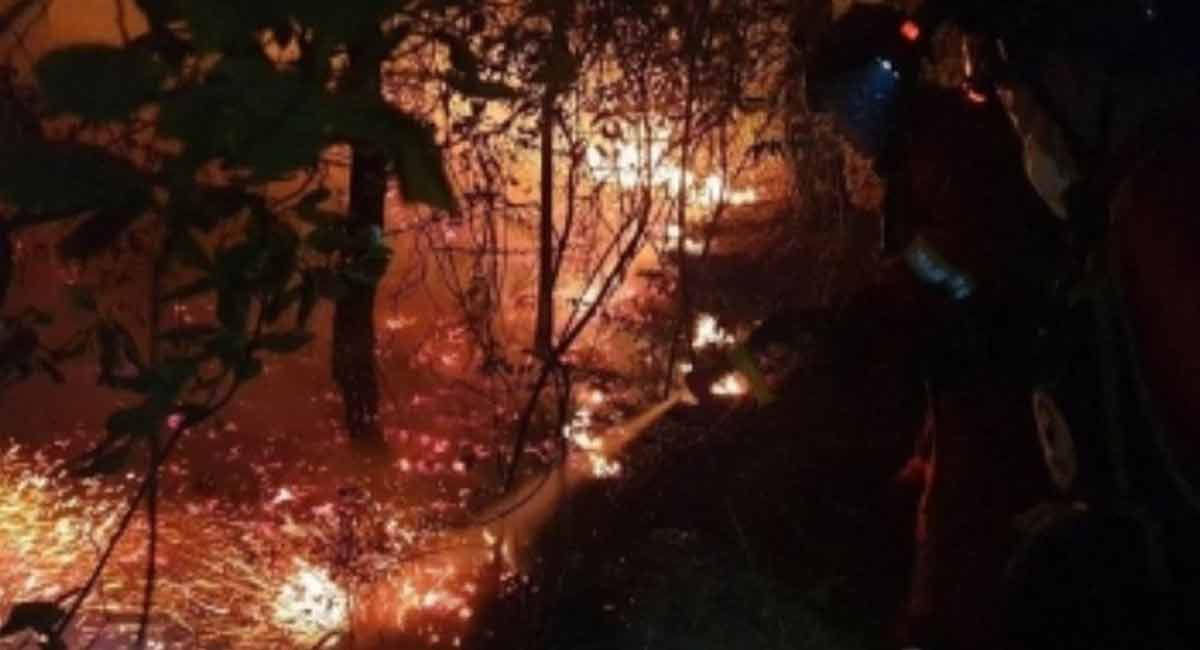 Spain sees worst wildfire in recorded history