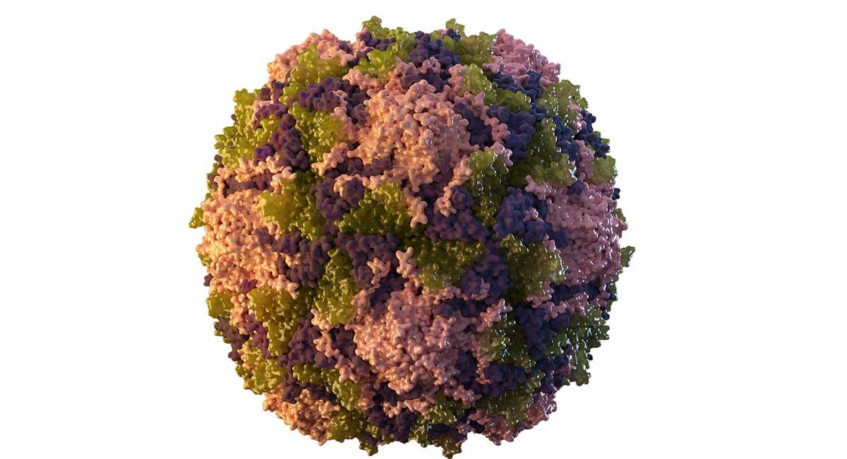 UK detects polio virus in London sewage samples