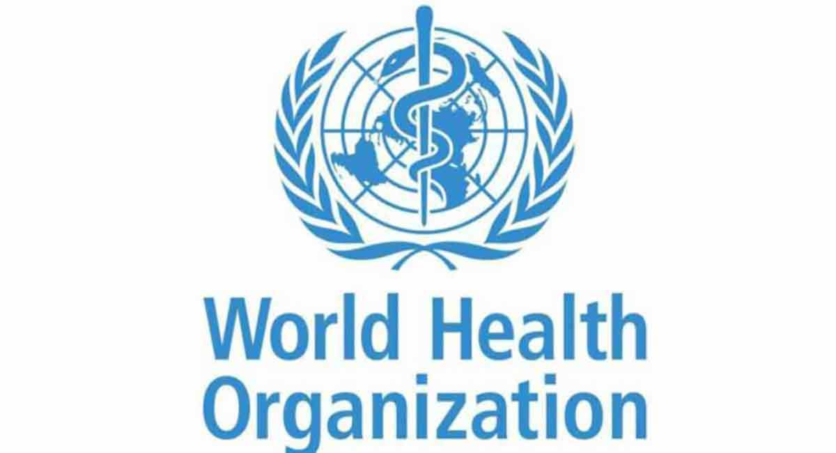 WHO considers renaming monkeypox virus to tackle stigma, racism