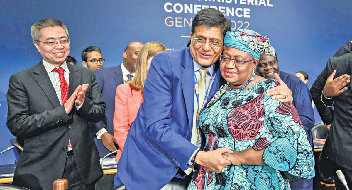 Opinion: WTO fighting for relevance