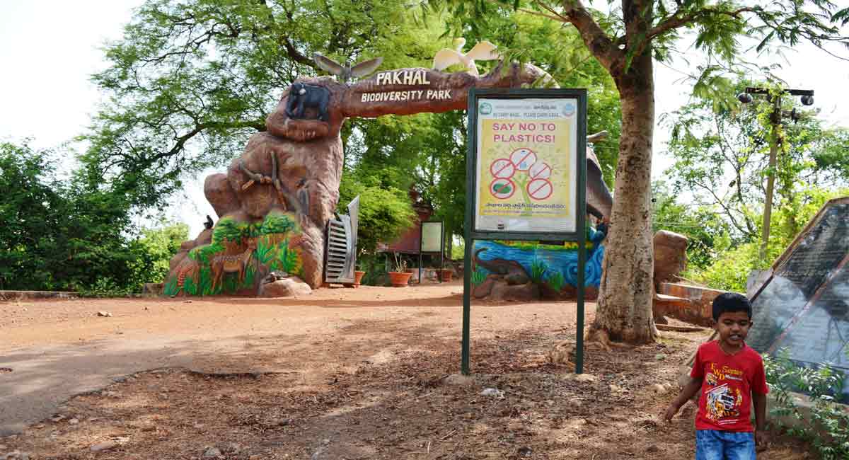 Warangal: Night camping, jungle safari to be introduced at Pakhal Lake soon