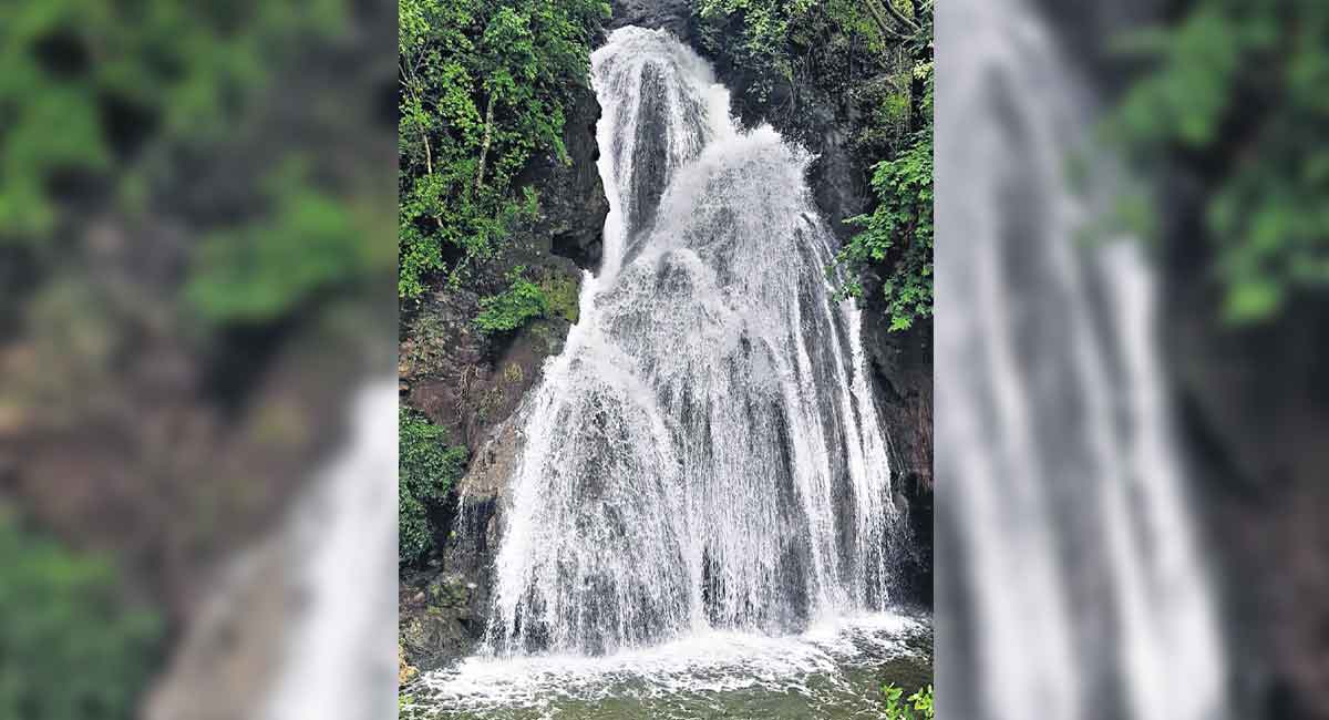 Rains breathe life into Asifabad falls