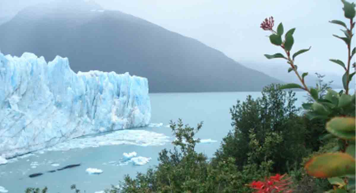 Climate change may cause shortage of essential omega-3 fatty acids: Study