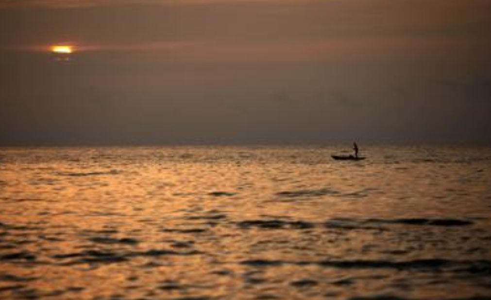 Mediterranean Sea suffering from marine heatwave: Report