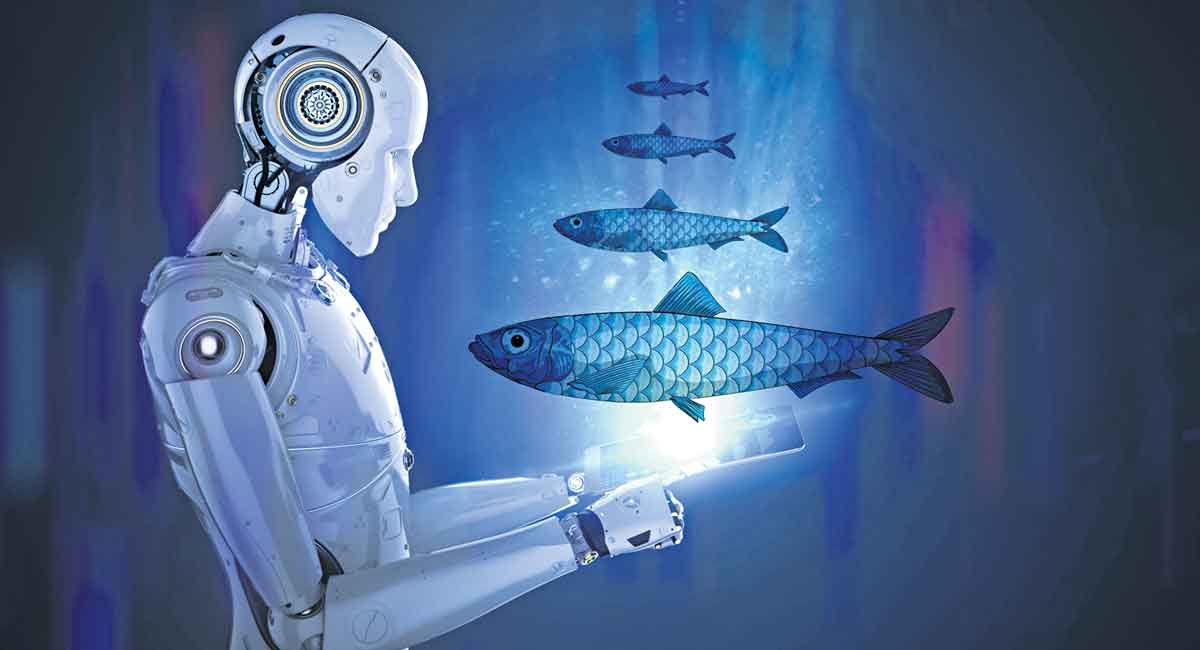 Opinion: Disruptive tech to drive aquaculture