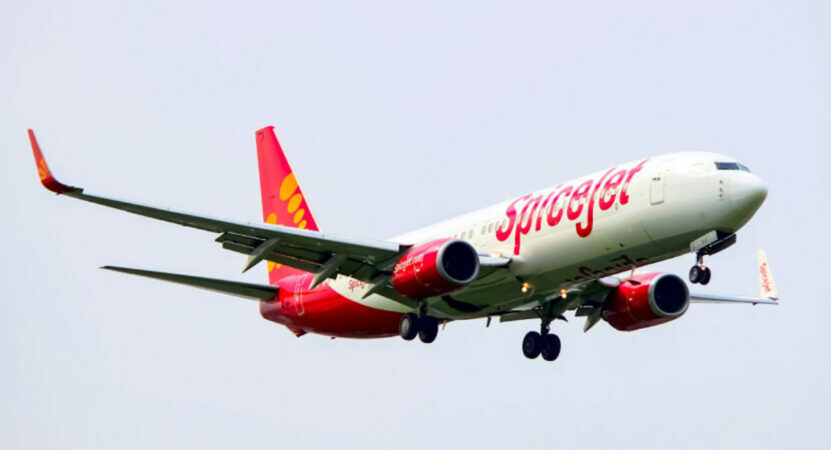 Delhi-bound SpiceJet flight returns back after bird hit, alternate plane being arranged