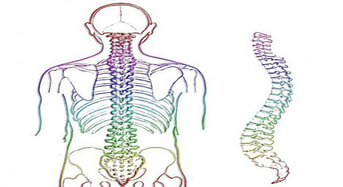 Gene Therapy can reduce pain from spinal cord injuries: Study