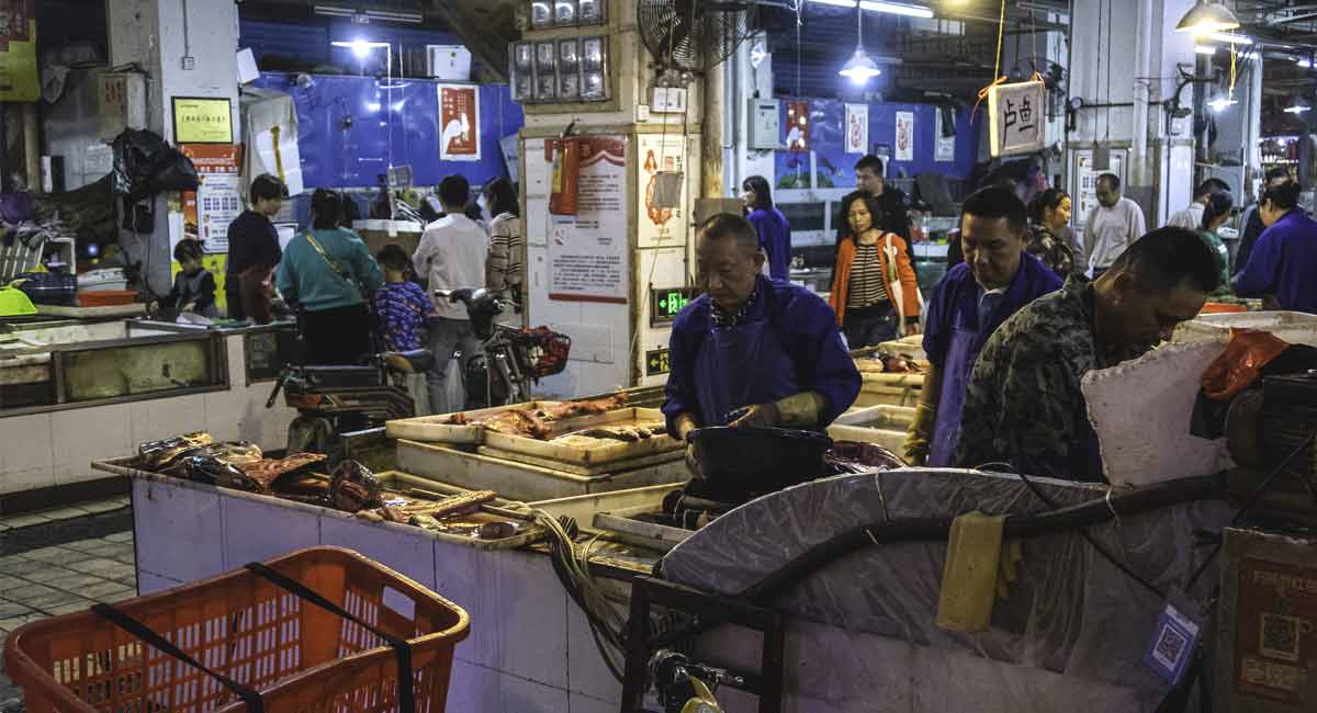 China’s Wuhan seafood market likely cause of Covid-19 outbreak: new studies in journal ‘Science’