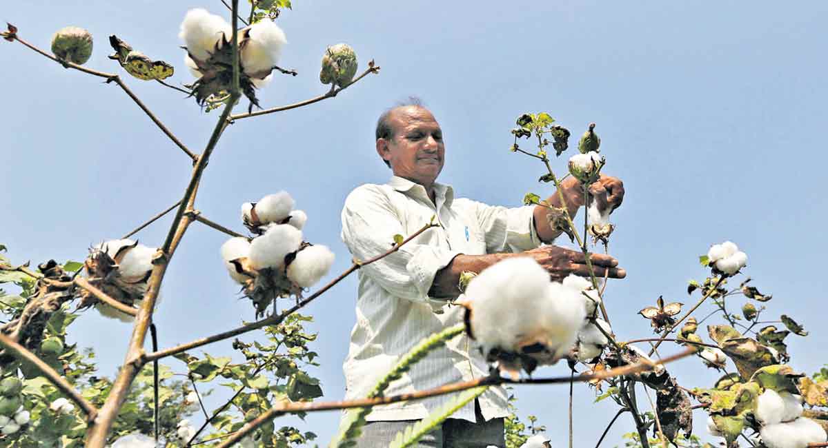 Know the variety of soil formations