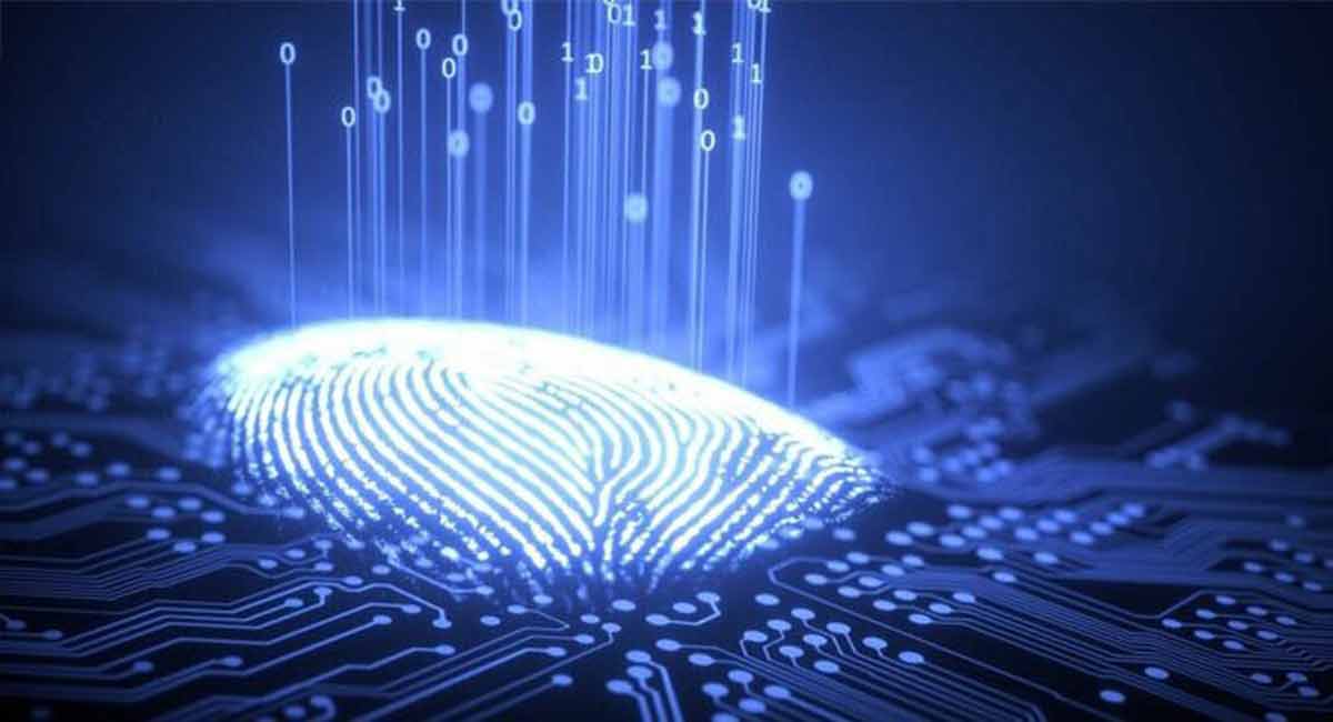 Scientists create synthetic DNA in order to examine ‘architect’ genes