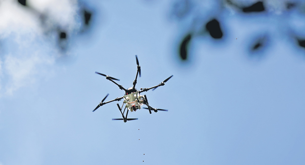 Copious rains set stage for drone-based afforestation drive in Telangana
