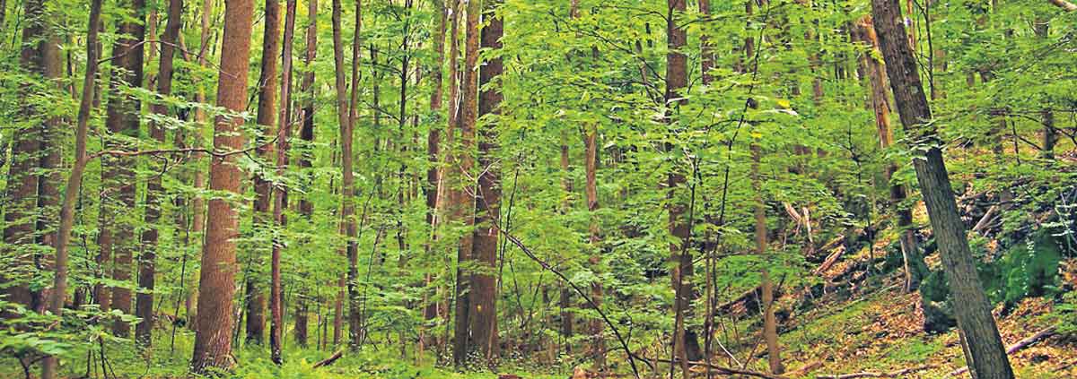 Start to observe your ecosystem for answers