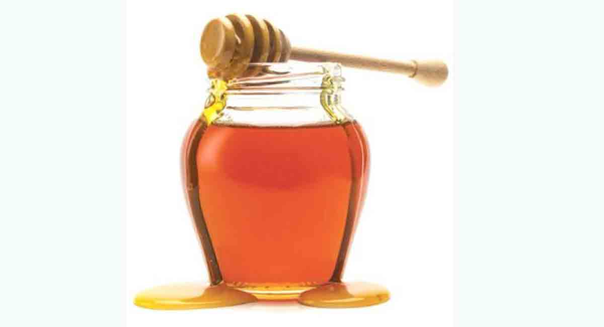 Telangana: GCC launches 4 honey products by Chenchus