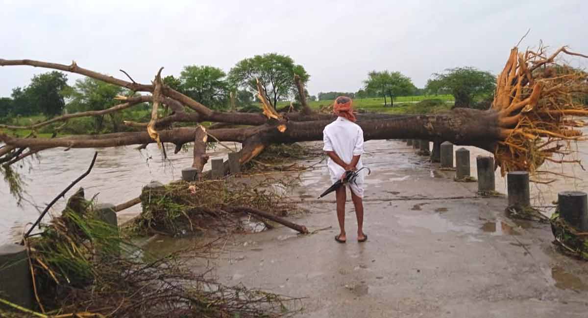 Incessant rains continue to lash erstwhile Adilabad