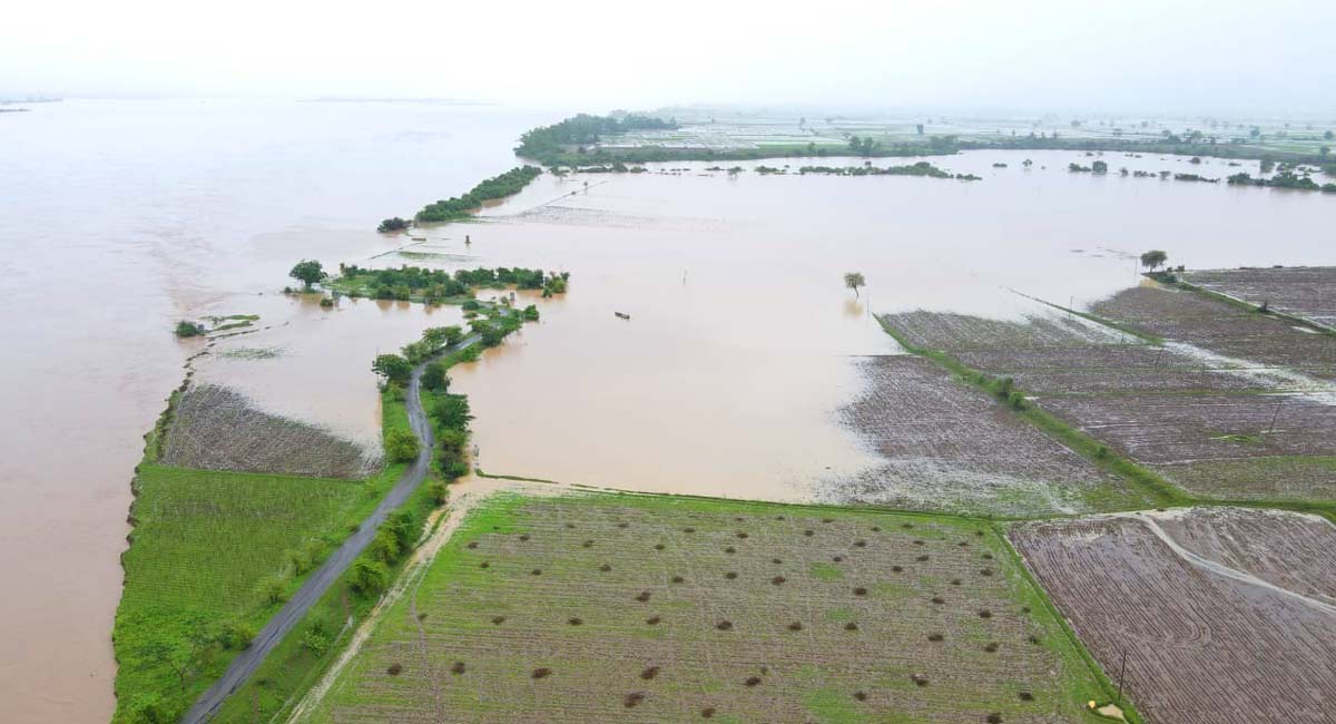Incessant rains inundate low-lying areas in erstwhile Warangal