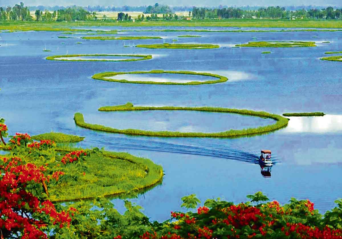 Ace questions on environment