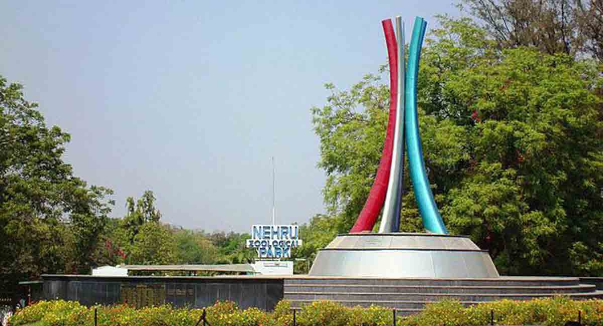 Hyderabad: Nehru Zoo Park closes Tiger Safari Park in view of heavy rains