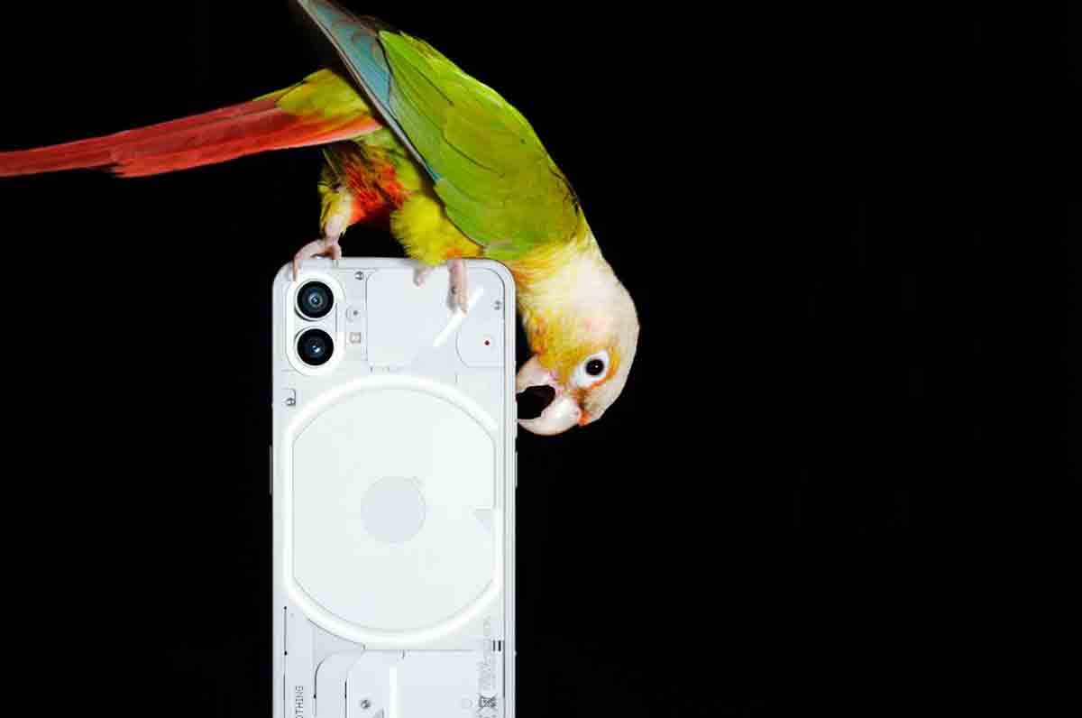 Everything you need to know about “Nothing” Phone (1)