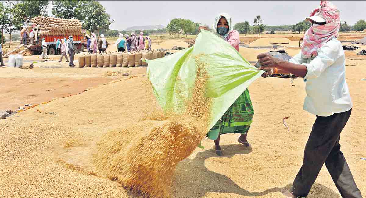 Telangana pleas to lift paddy falls on deaf ears