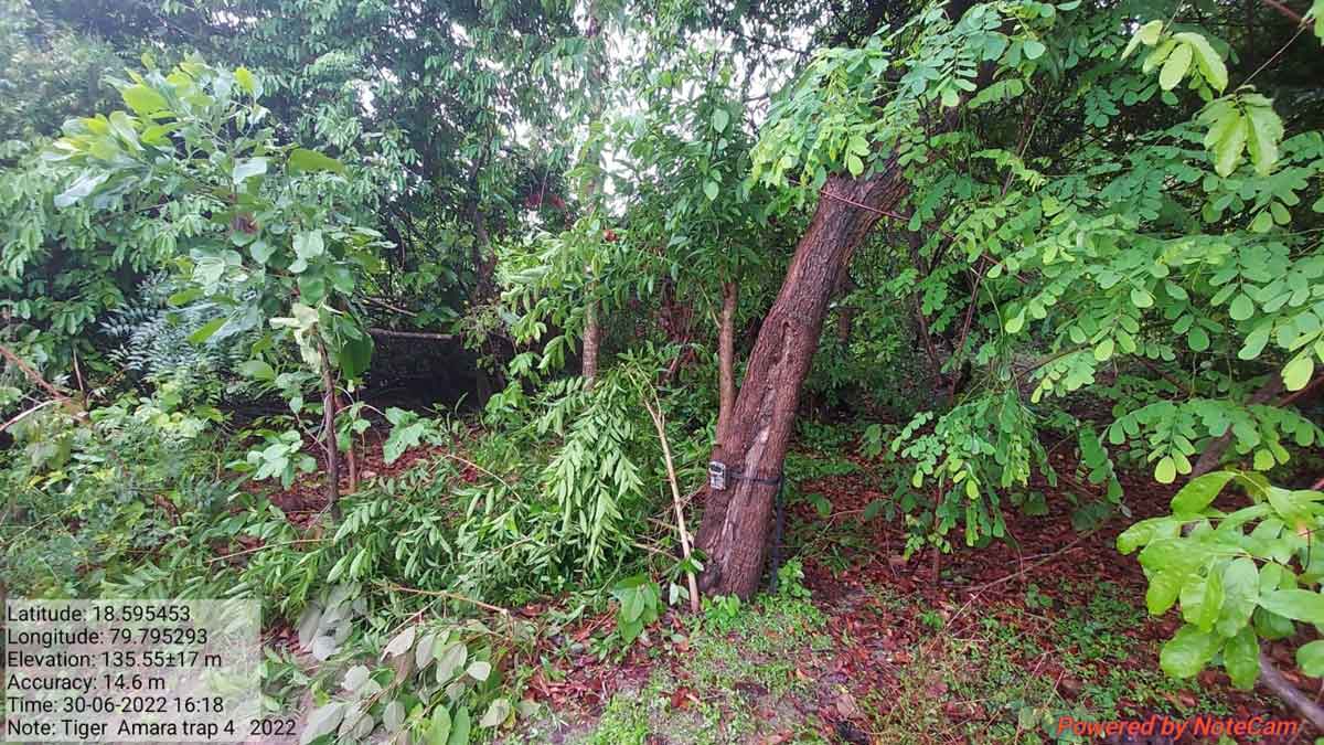 CCTV cameras setup in bordering villages to capture Tiger movements in Peddapalli