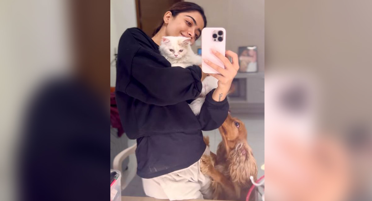 Rashmika Mandanna introduces her new buddy Snow on Instagram