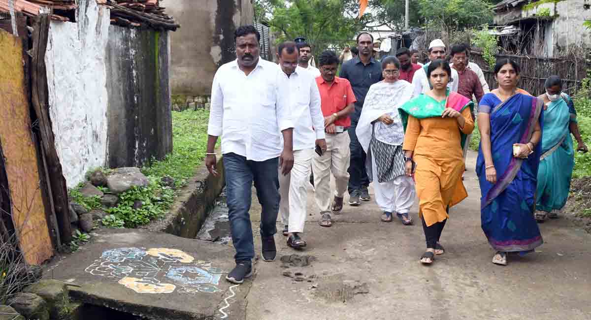 Adilabad Collector tells officials to continue sanitation drives against spread of seasonal diseases