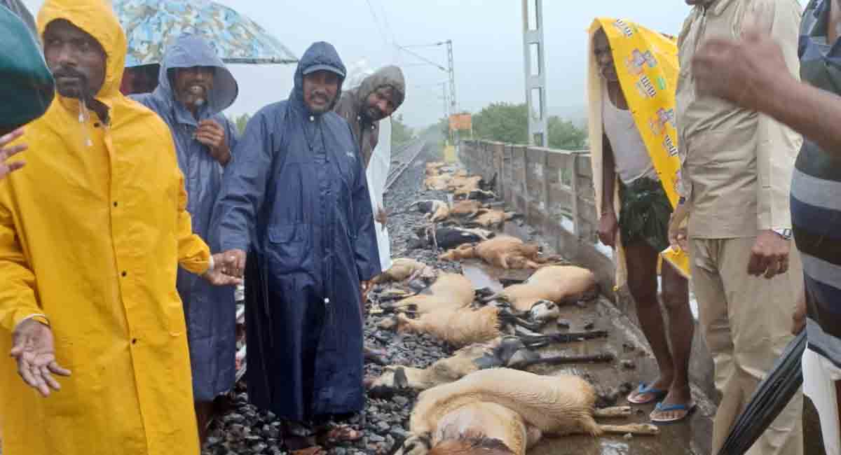 80 sheep die in train accident in Jagtial