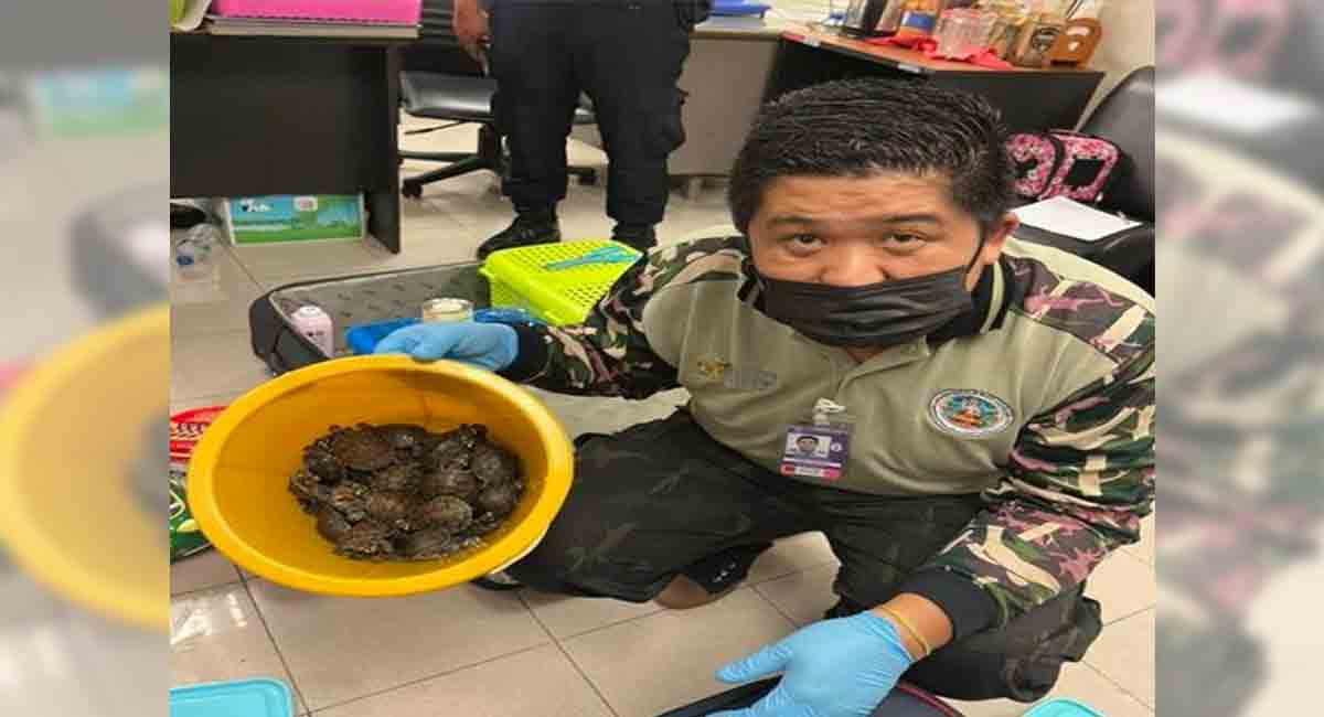 Two Indian women arrested in Bangkok for smuggling live animals: Report