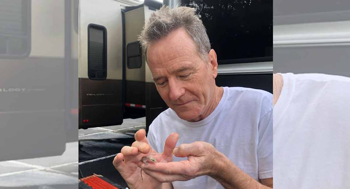 ‘Breaking Bad’ actor Bryan Cranston gets hit during All-Star Celebrity Softball game