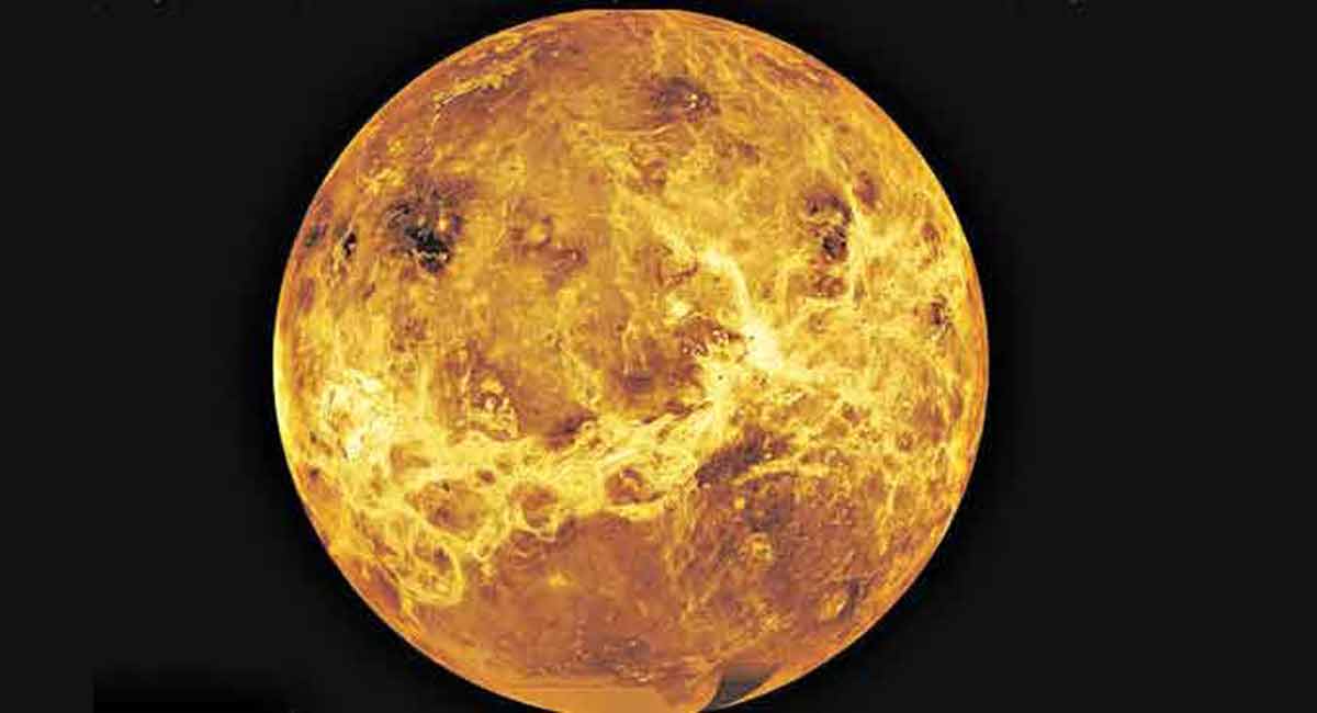 No evidence of life on Venus found yet: Study