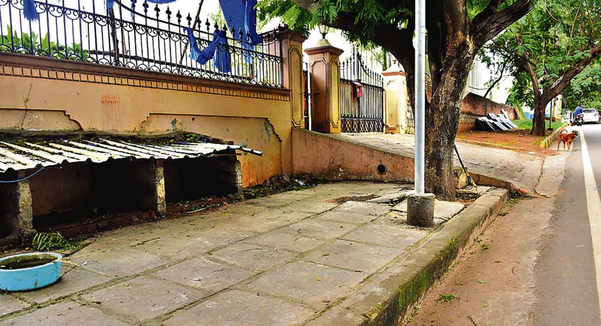 Hyderabadis provide shelter for stray animals in monsoons