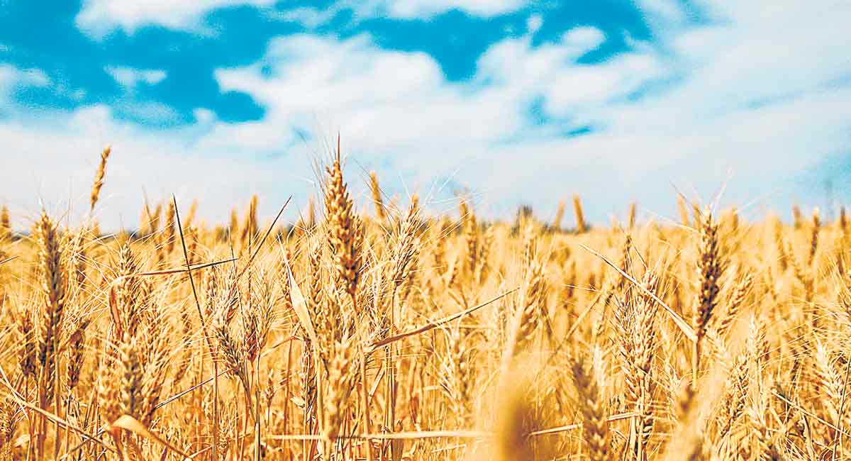 Test your knowledge on environment