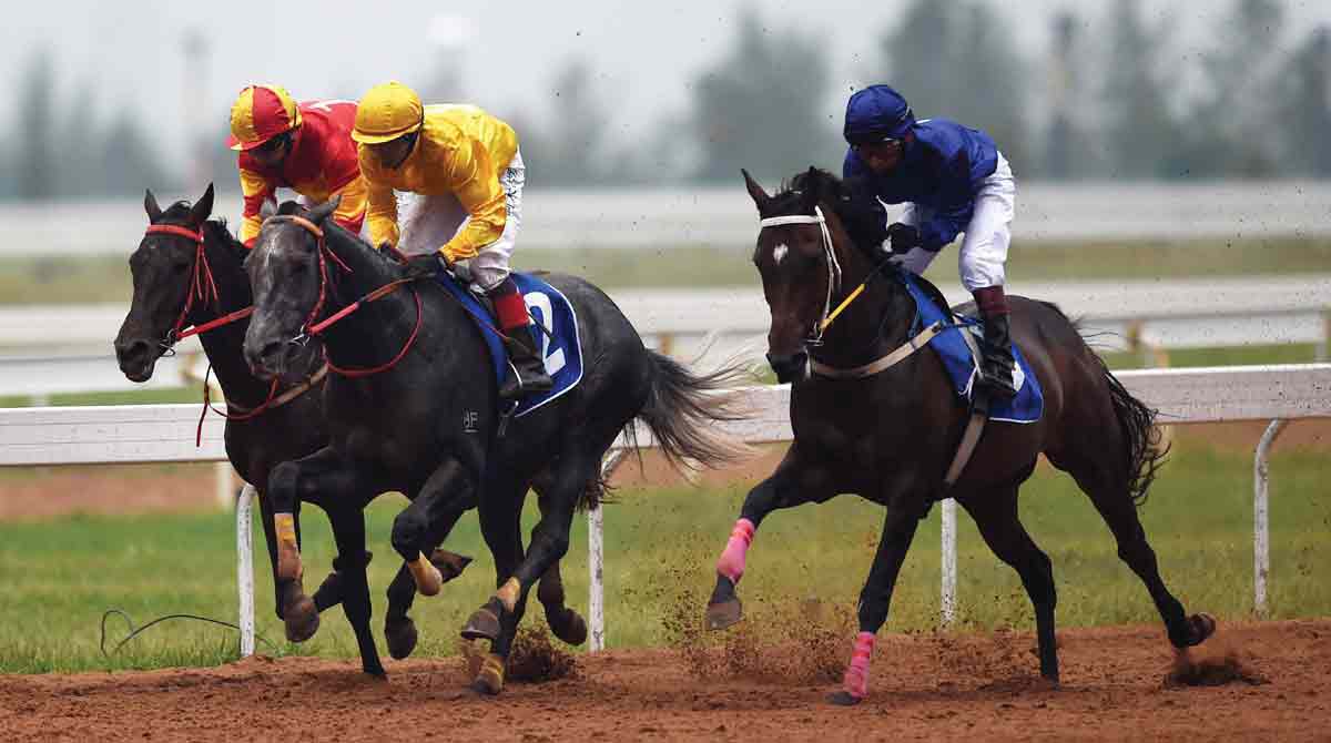 Xfinity shines in morning trials at Malakpet Race Course Telangana Today Xfinity shines in morning trials at Malakpet Race Course Telangana Today